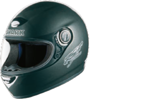 1999 RSF 